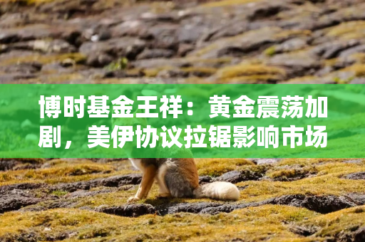 博时基金王祥：黄金震荡加剧，美伊协议拉锯影响市场