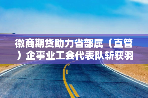 徽商期货助力省部属（直管）企事业工会代表队斩获羽毛球赛冠军
