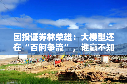 国投证券林荣雄：大模型还在“百舸争流”，谁赢不知道