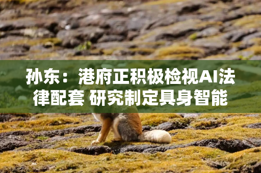 孙东：港府正积极检视AI法律配套 研究制定具身智能专属法例可行性