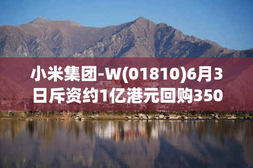 小米集团-W(01810)6月3日斥资约1亿港元回购350万股