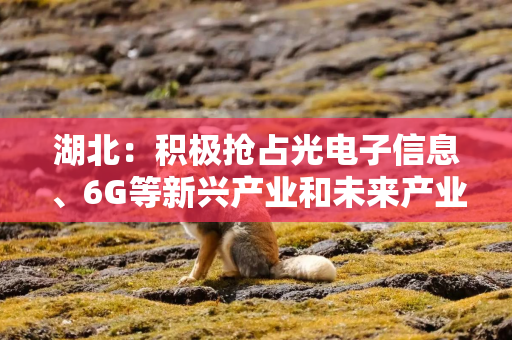 湖北：积极抢占光电子信息、6G等新兴产业和未来产业制高点