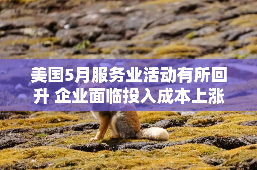 美国5月服务业活动有所回升 企业面临投入成本上涨