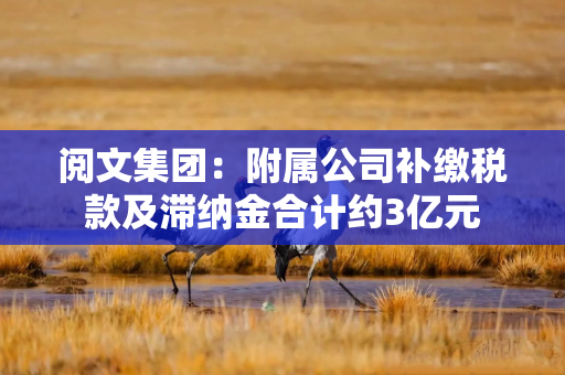 阅文集团：附属公司补缴税款及滞纳金合计约3亿元
