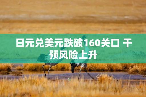 日元兑美元跌破160关口 干预风险上升