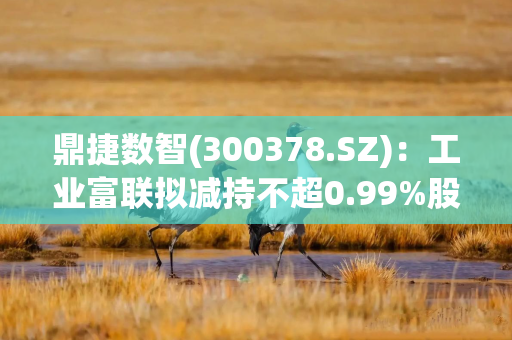 鼎捷数智(300378.SZ)：工业富联拟减持不超0.99%股份