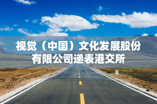 视觉（中国）文化发展股份有限公司递表港交所