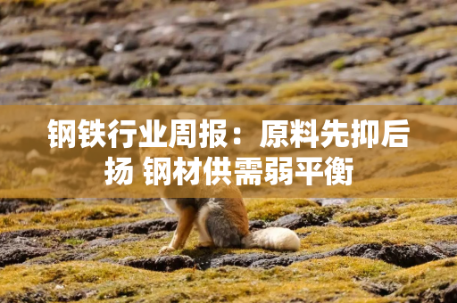 钢铁行业周报：原料先抑后扬 钢材供需弱平衡