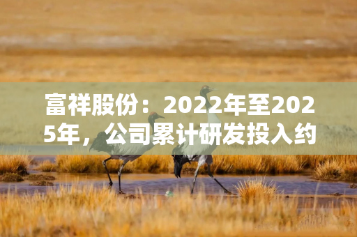 富祥股份：2022年至2025年，公司累计研发投入约3.09亿元