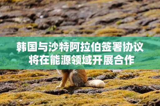 韩国与沙特阿拉伯签署协议 将在能源领域开展合作