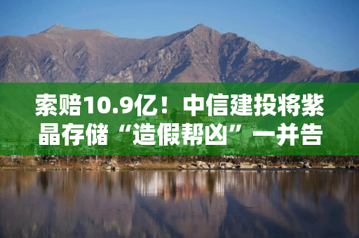 索赔10.9亿！中信建投将紫晶存储“造假帮凶”一并告上法庭