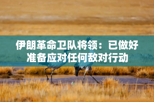 伊朗革命卫队将领:已做好准备应对任何敌对行动 伊朗革命卫队将领:已做好准备应对任何敌对行动
