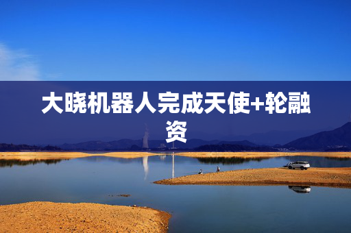 大晓机器人完成天使+轮融资