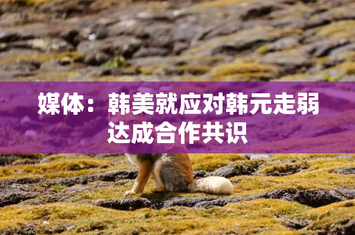 媒体：韩美就应对韩元走弱达成合作共识