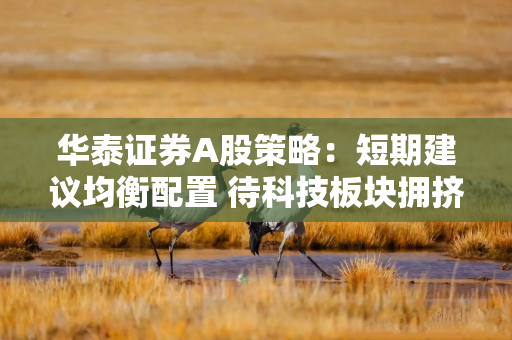 华泰证券A股策略：短期建议均衡配置 待科技板块拥挤度压力释放后吸筹