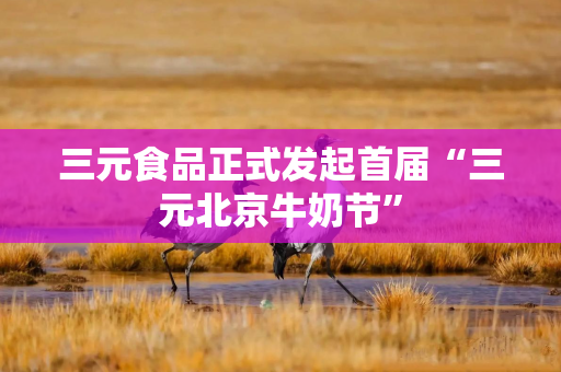 三元食品正式发起首届“三元北京牛奶节”