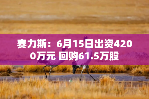 赛力斯:6月15日出资4200万元 回购61.5万股 赛力斯:6月15日出资4200万元 回购61.5万股