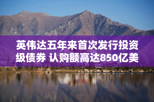 英伟达五年来首次发行投资级债券 认购额高达850亿美元