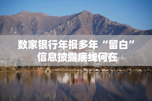 数家银行年报多年“留白” 信息披露底线何在