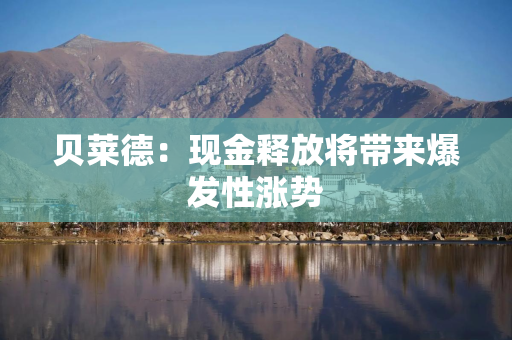 贝莱德：现金释放将带来爆发性涨势