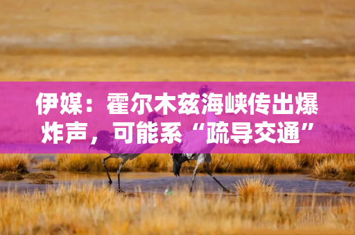 伊媒：霍尔木兹海峡传出爆炸声，可能系“疏导交通”所致