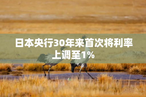 日本央行30年来首次将利率上调至1%