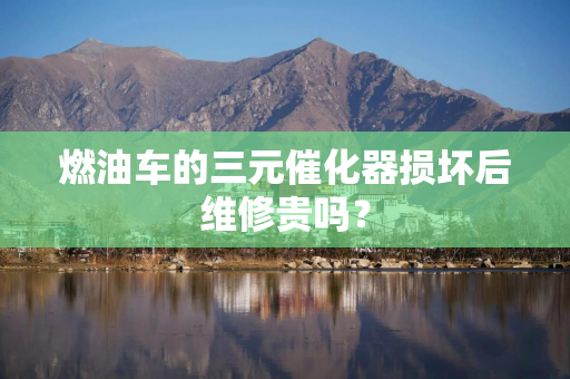 燃油车的三元催化器损坏后维修贵吗？