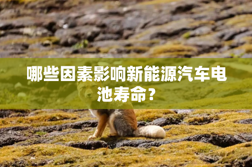 哪些因素影响新能源汽车电池寿命？
