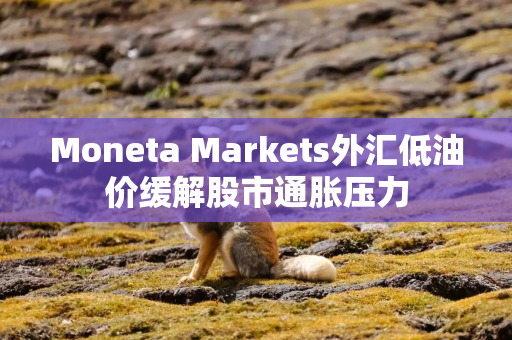 Moneta Markets外汇低油价缓解股市通胀压力