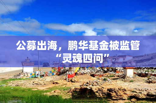 公募出海，鹏华基金被监管“灵魂四问”