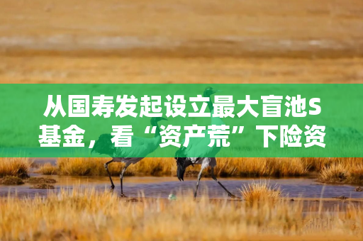 从国寿发起设立最大盲池S基金，看“资产荒”下险资配置新思路