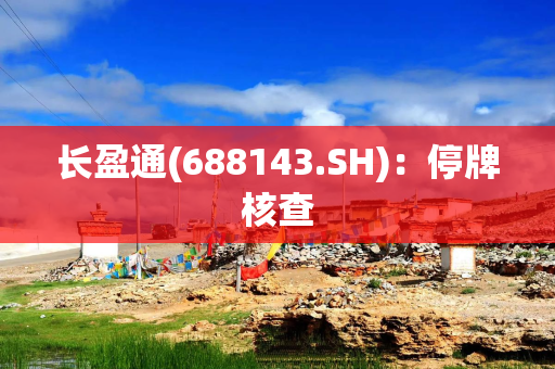 长盈通(688143.SH)：停牌核查