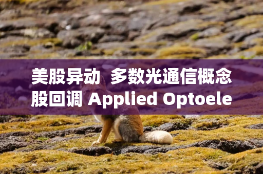 美股异动 多数光通信概念股回调 Applied Optoelectronics(AAOI.US)跌超5% 美股异动 多数光通信概念股回调 Applied Optoelectronics(AAOI.US)跌超5%