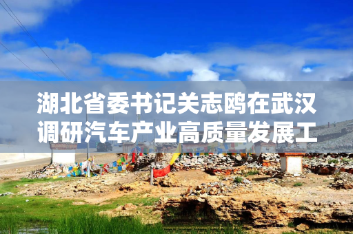 湖北省委书记关志鸥在武汉调研汽车产业高质量发展工作
