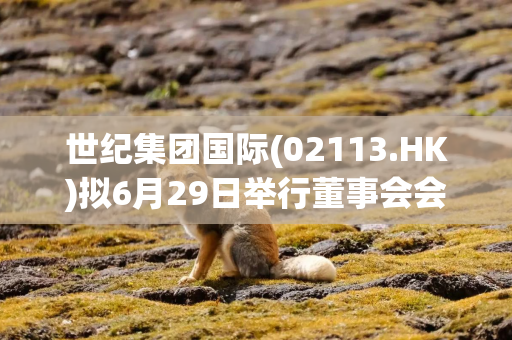 世纪集团国际(02113.HK)拟6月29日举行董事会会议以审批年度业绩