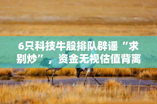 6只科技牛股排队辟谣“求别炒”，资金无视估值背离“就是不信”