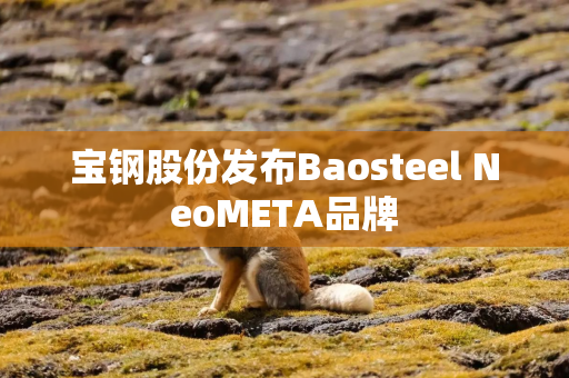 宝钢股份发布Baosteel NeoMETA品牌