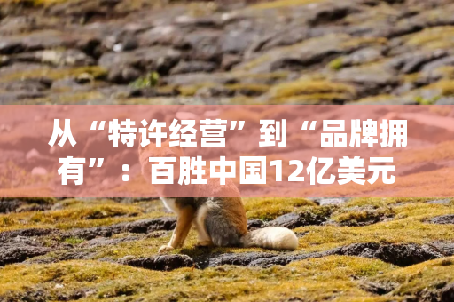 从“特许经营”到“品牌拥有”：百胜中国12亿美元买断必胜客中国大陆所有权