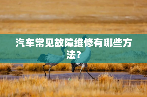 汽车常见故障维修有哪些方法？