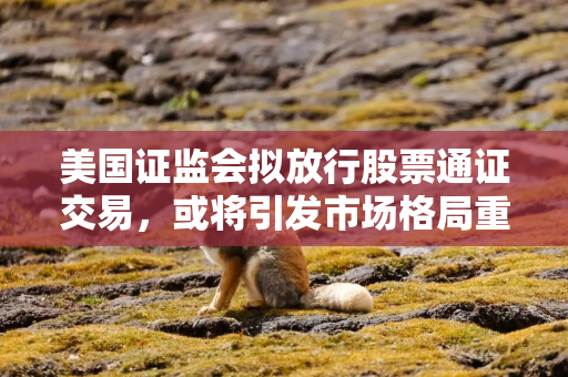 美国证监会拟放行股票通证交易，或将引发市场格局重大变革
