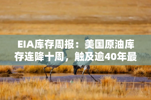 EIA库存周报：美国原油库存连降十周，触及逾40年最低