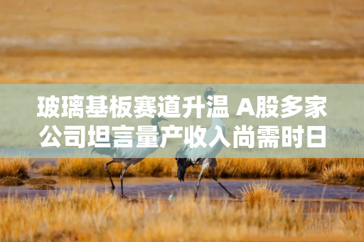 玻璃基板赛道升温 A股多家公司坦言量产收入尚需时日