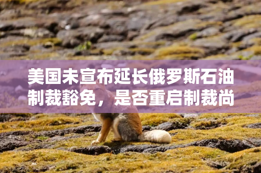 美国未宣布延长俄罗斯石油制裁豁免，是否重启制裁尚不明朗