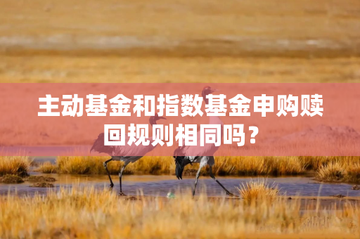 主动基金和指数基金申购赎回规则相同吗？