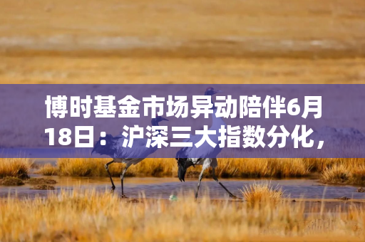 博时基金市场异动陪伴6月18日：沪深三大指数分化，创业板指涨超2%