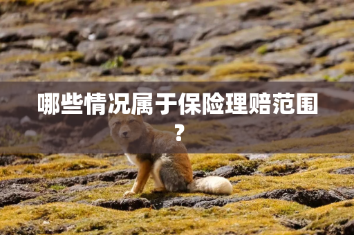 哪些情况属于保险理赔范围？