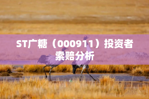 ST广糖(000911)投资者索赔分析 ST广糖(000911)投资者索赔分析