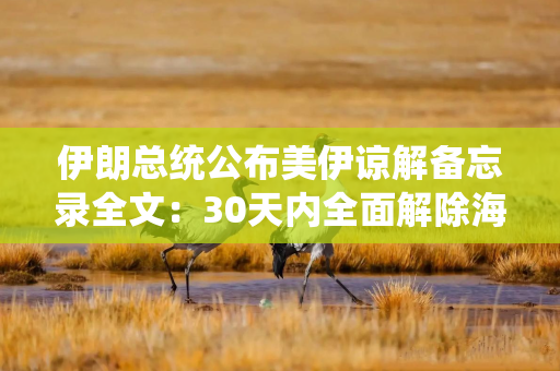 伊朗总统公布美伊谅解备忘录全文：30天内全面解除海上封锁 60天内免费通行