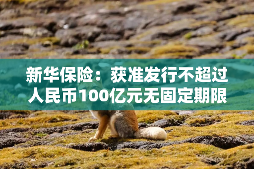 新华保险：获准发行不超过人民币100亿元无固定期限资本债券