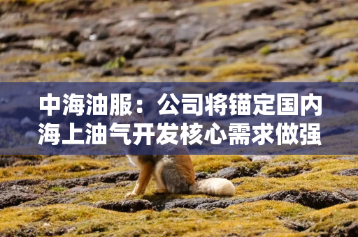 中海油服：公司将锚定国内海上油气开发核心需求做强做优主业